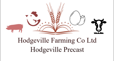 Hodgeville Colony  / Hodgeville Farming Co. Ltd.